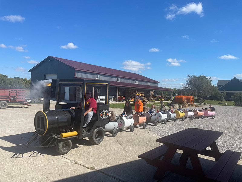 A ten car train driven by our skilled conductor takes the kids around the farm.