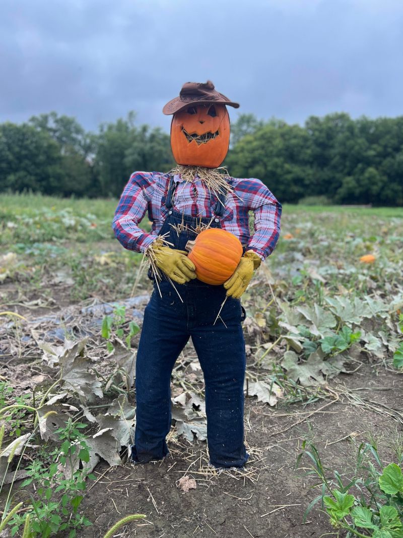 Scarecrow Farmer Doug spends long hours in the pumpkin patch to make sure everything is in tip top shape for each customer to find the perfect pumpkin