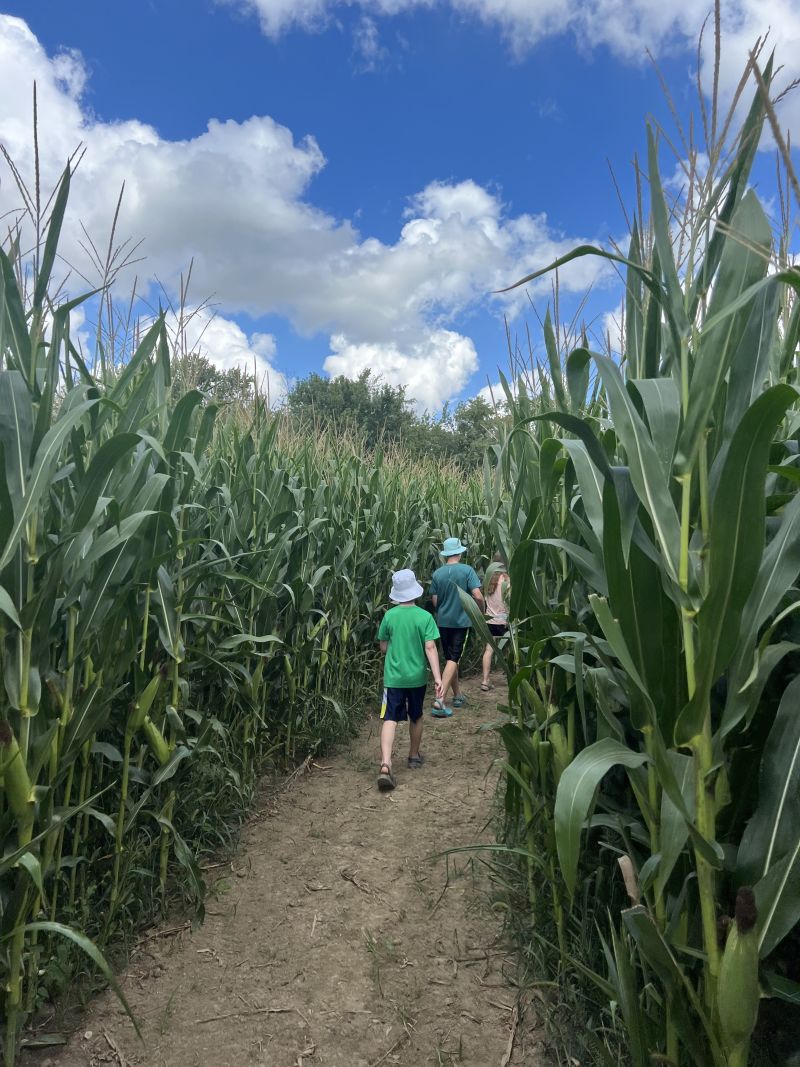 Our corn mazes are a fun outdoor activity for all ages and a great way to keep the fun going!