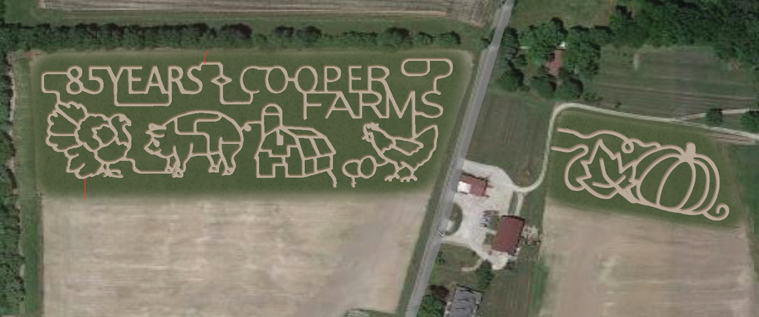 Choose your difficulty. We've got both a 9 and 3 acre corn maze great for both adults and kids.