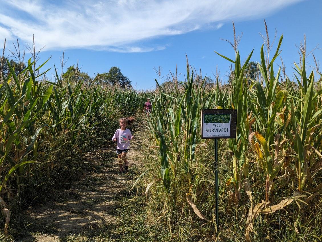Mom and daughter make it to the finish line of one our two corn mazes.